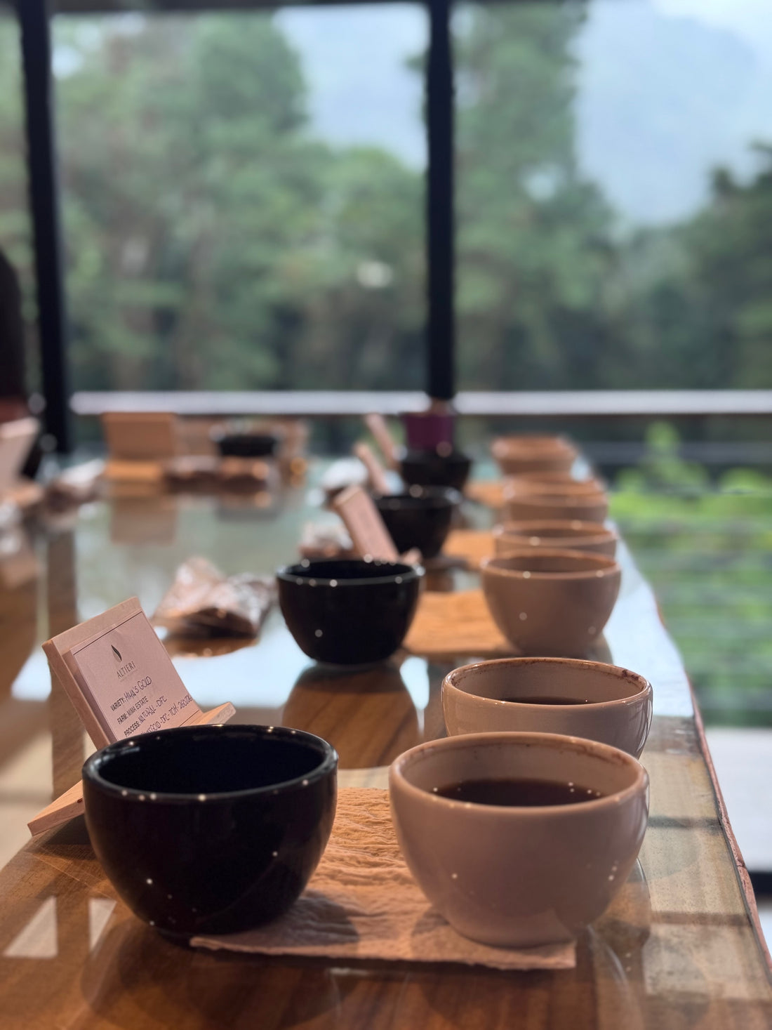 Professional coffee cupping at origin farm — evaluating specialty coffee quality