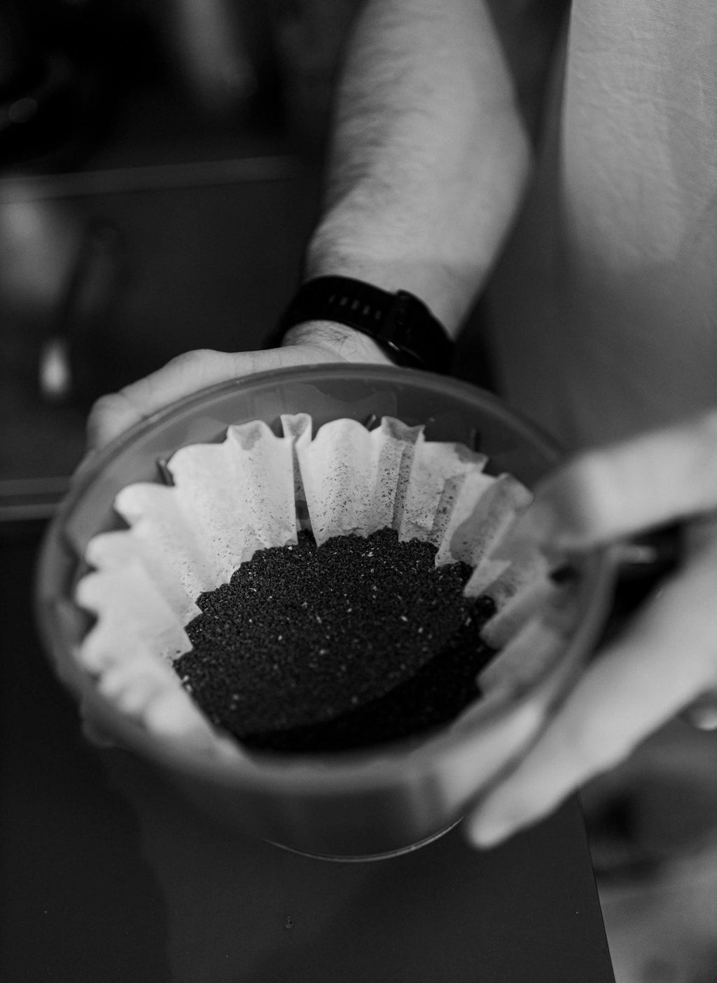 BATCH BREW FILTER SIBARIST