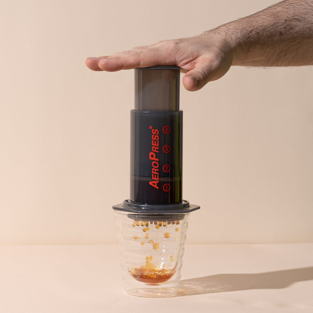 AeroPress Original - brewing components and filter cap